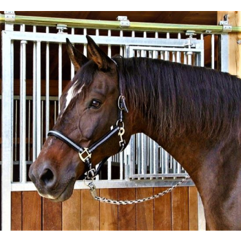 Kantar Mustang COVALLIERO czarno-srebrny roz. 1 na głowie konia