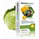 Brassibee™ 3x10ml - wspomaga zwalczanie nosemozy z kapustą